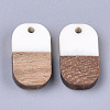 Resin & Walnut Wood Pendants RESI-S358-41B-2