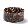 Resin with Natural Mixed Stone Chip Stones Ashtray DJEW-F015-01B-1