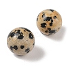 Natural Dalmatian Jasper No Hole Sphere Beads G-K353-04A-16-2