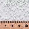 8/0 Opaque Glass Seed Beads SEED-S048-N-007-4