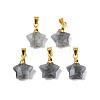 Natural Labradorite Charms G-N326-142-06-2