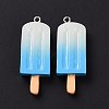 Gradient Color Resin Imitation Food Pendants RESI-H144-11-5