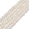 Natural Cultured Freshwater Pearl Beads Strands PEAR-F018-13B-1