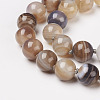 Natural Dyed Agate Beads Necklaces NJEW-F139-12mm-15-2