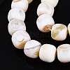 Natural Fire Crackle Agate Beads Strands G-Q606-94A-4