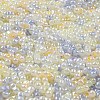 Glass Seed Beads SEED-K009-02B-21-3