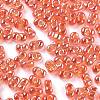 Glass Seed Beads SEED-A033-01B-01-3