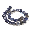 Natural Sodalite Beads Strands G-M403-C11-3