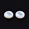 Natural Freshwater Shell Beads SHEL-N003-22-14P-3