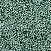 MIYUKI Delica Beads SEED-J020-DB1171-3