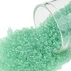 TOHO Round Seed Beads X-SEED-TR15-0156-1