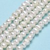 Natural Cultured Freshwater Pearl Beads Strands PEAR-F018-05-2