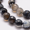 Natural Fire Crackle Agate Bead Strands G-K166-07F-10mm-07-3