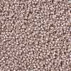 MIYUKI Round Rocailles Beads SEED-X0055-RR0579-3