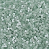 MIYUKI Delica Beads SEED-JP0008-DB0829-3