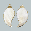 Electroplate Freshwater Shell Big Pendants SHEL-S273-009-2