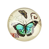 Butterfly Printed Glass Half Round/Dome Cabochons X-GGLA-N004-10mm-C-2