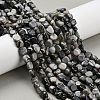 Natural Picasso Jasper Beads Strands G-K398-A01-01-1