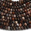 Natural Petrified Wood Beads Strands G-Z111-A50-4