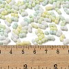 Macaron Color Opaque Frosted Glass Seed Beads SEED-K009-12B-04-4