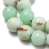 Natural Green Opal Beads Strands G-R494-A08-02-3
