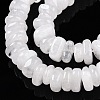 Natural Quartz Crystal Beads Strands G-T141-07-4