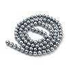 Electroplated Natural Shell Beads Strands SHEL-F008-03A-11-2
