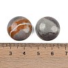 Natural Picasso Jasper Cabochons G-T020-18mm-42-3