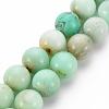 Natural Chrysoprase Beads Strands G-S333-10mm-037-1