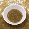 MIYUKI Delica Beads SEED-X0054-DB0118-2