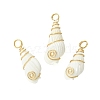 Natural Trumpet Shell Pendants PALLOY-JF02794-01-1