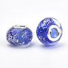 Handmade Luminous Lampwork European Beads LAMP-Q029-35B-2