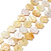 Natural Yellow Shell Beads Strands SSHEL-G023-10A-1