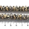 Natural Dalmatian Jasper Beads Strands G-P559-A01-02-5