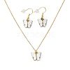 Alloy Acrylic Earrings & Necklaces Jewelry Sets SJEW-PH01380-01-1