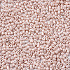 Glass Seed Beads SEED-S060-A-F407-3