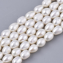 Natural Cultured Freshwater Pearl Beads Strands PEAR-Q015-036A-01
