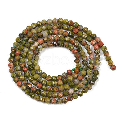 Natural Unakite Beads Strands G-B171-C03-2mm-1