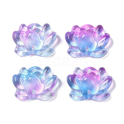 Baking Paint Glass Beads GLAA-S202-13A-1