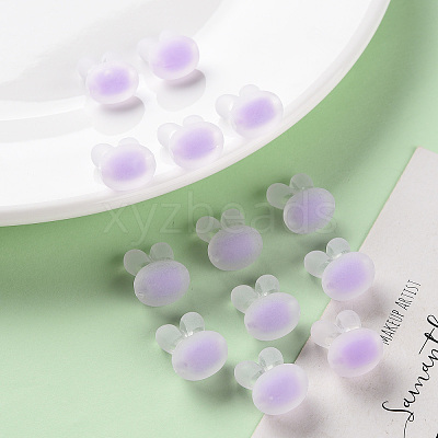 Transparent Acrylic Beads LS-TACR-S152-12C-SS2114-1
