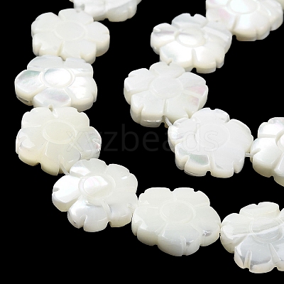 Natural Trochus Shell Beads Strands BSHE-E030-03-1