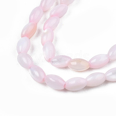 Natural Freshwater Shell Beads Strands SHEL-N003-25-B06-1