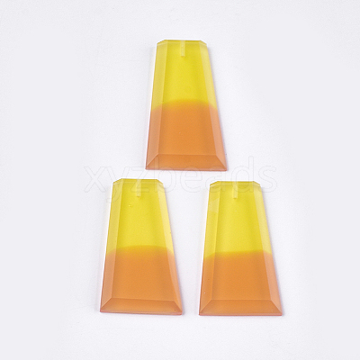 Resin Beads CRES-T014-17E-1