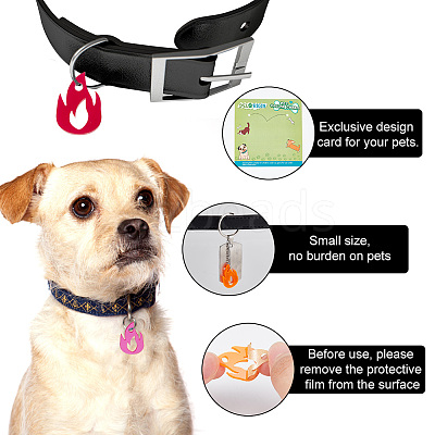 42Pcs 3 Colors Transparent Blank Acrylic Pet Dog ID Tag PALLOY-AB00048-1