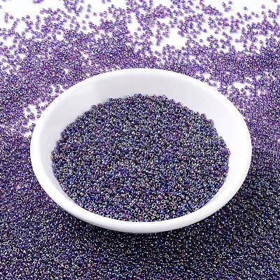 MIYUKI Round Rocailles Beads X-SEED-G007-RR0356-1