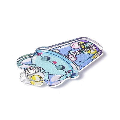 Transparent Printed Acrylic Pendants TACR-G042-01E-1