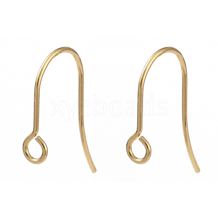 316 Surgical Stainless Steel Earring Hooks STAS-P162-13G-B01-1