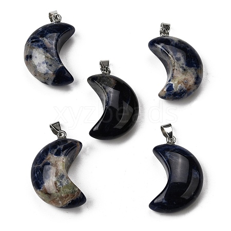 Natural Sodalite Pendants G-F820-02D-1