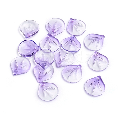 Transparent Glass Charms LS-GLAA-H016-05E-17-1
