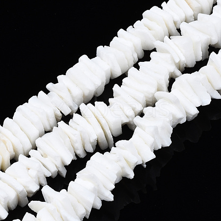 Natural White Shell Beads Strands SSHEL-S266-029-1